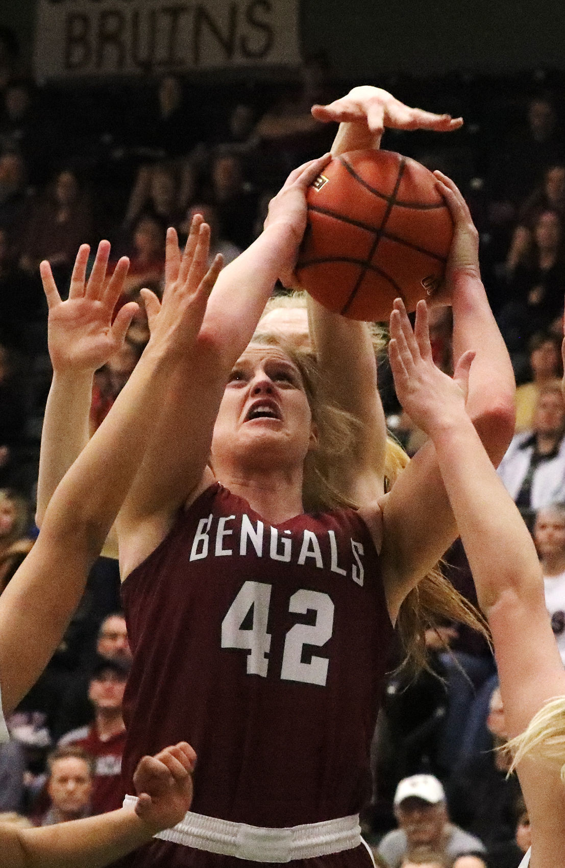 Helena High School at the state championship